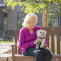 The Insider's Guide to Bringing Your Pets to Concerts in Denver, CO